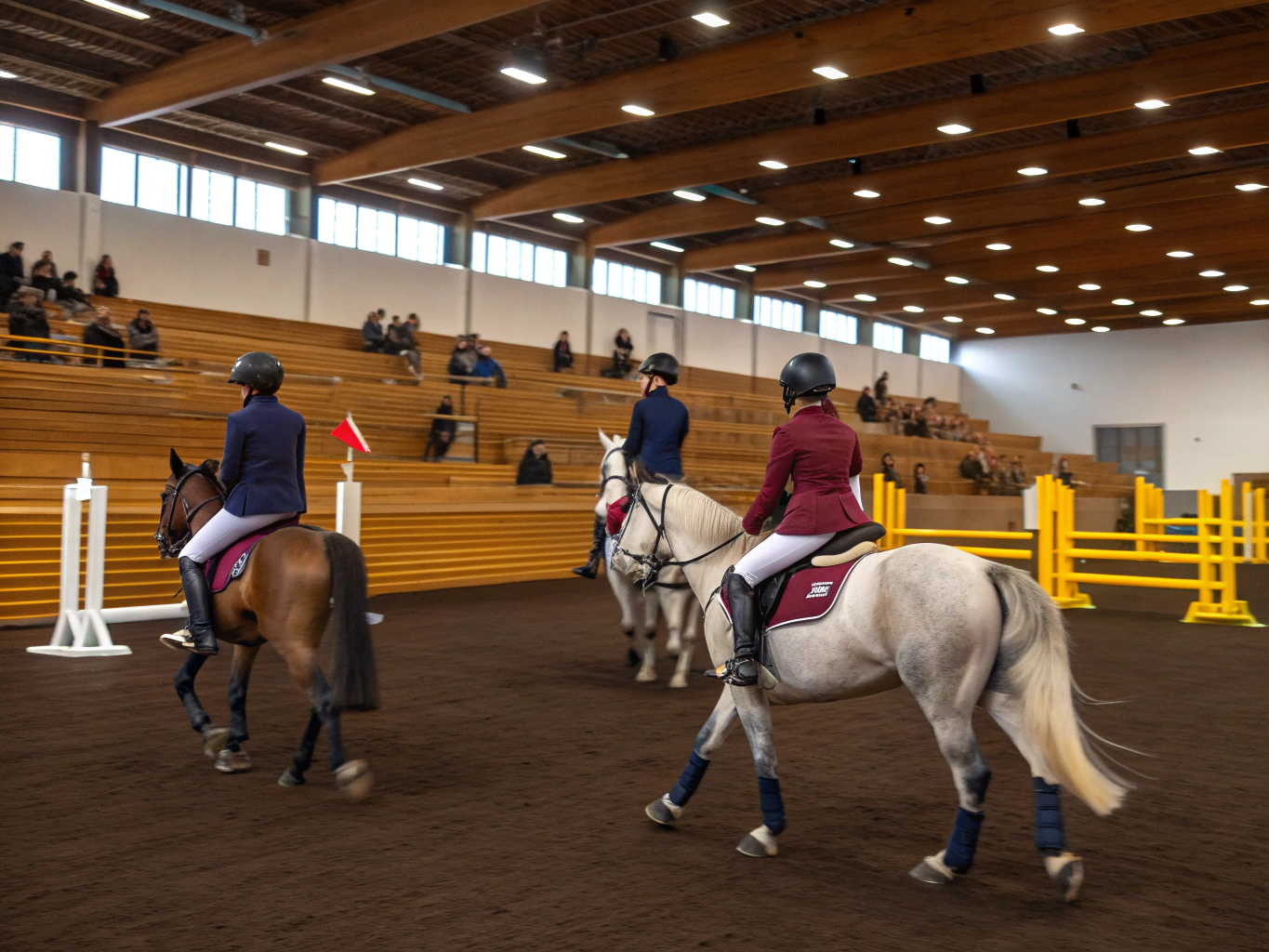 View of the competition ring